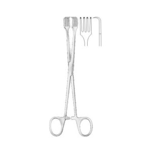 Czerny Tanaculum Forcep